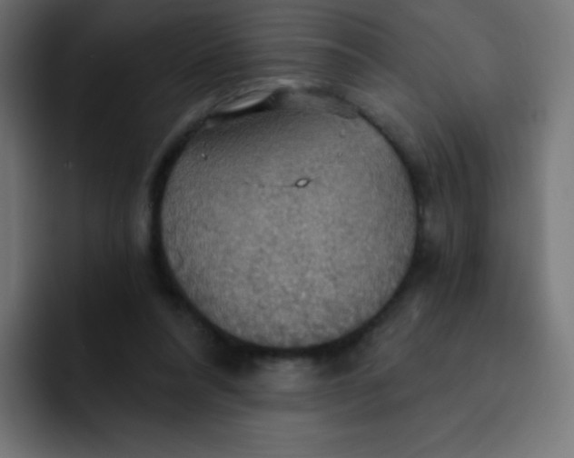 X0000092110304200710031235