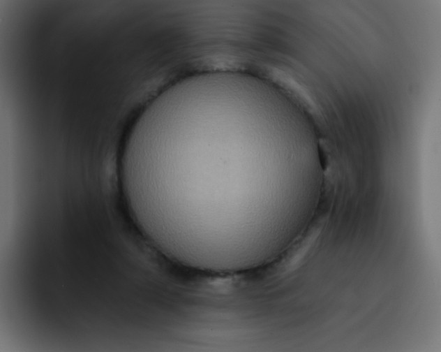 X0000092110306200710031235