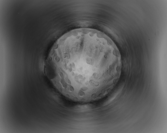 X0000092110307200710031235