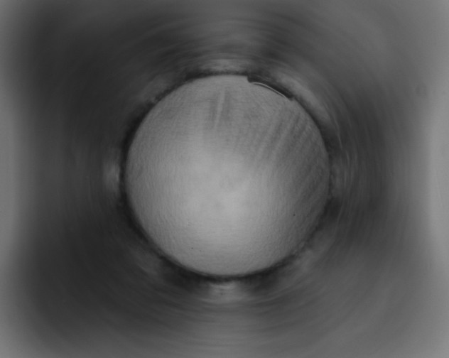 X0000092110309200710031235