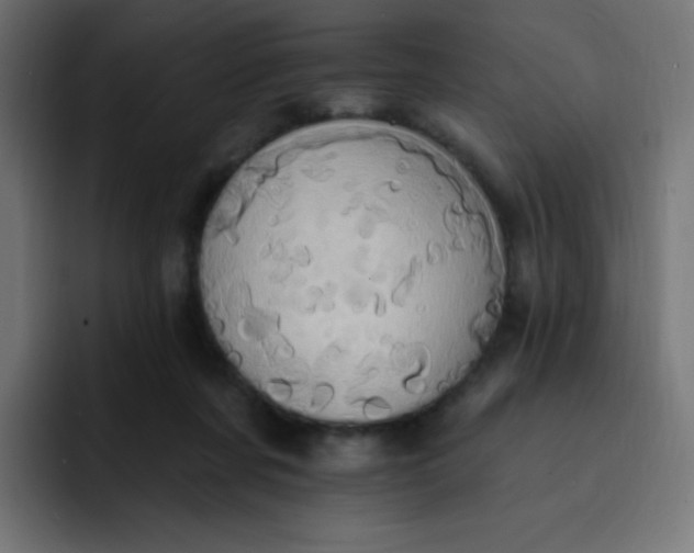 X0000092110311200710031235