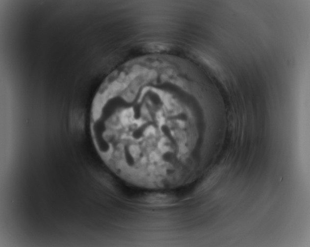 X0000092110315200710031235