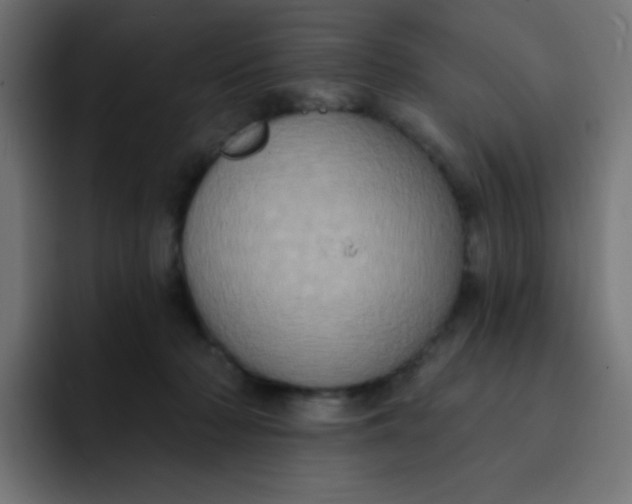 X0000092110318200710031235