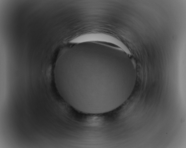 X0000092110319200710031235