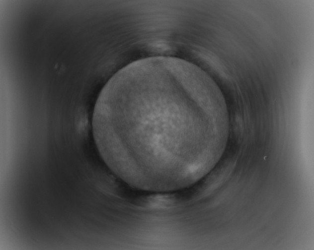 X0000092110320200710031235