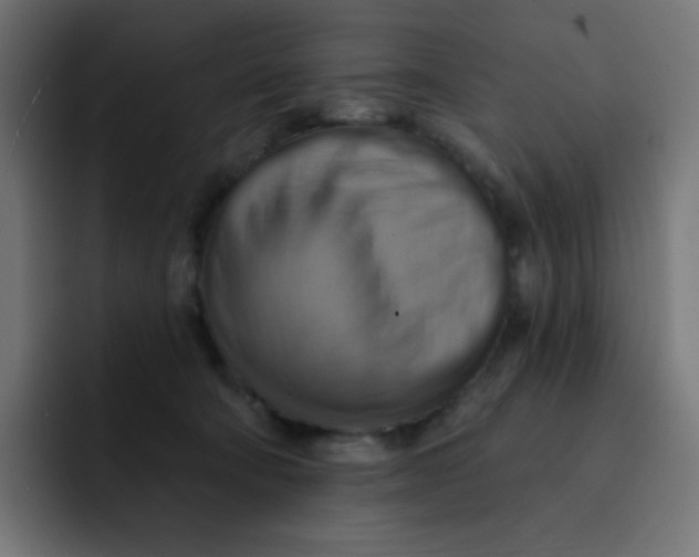 X0000092110322200710031235