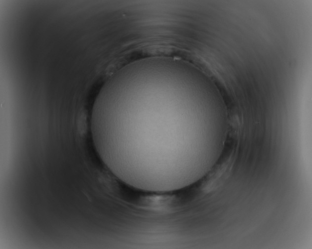 X0000092110323200710031235