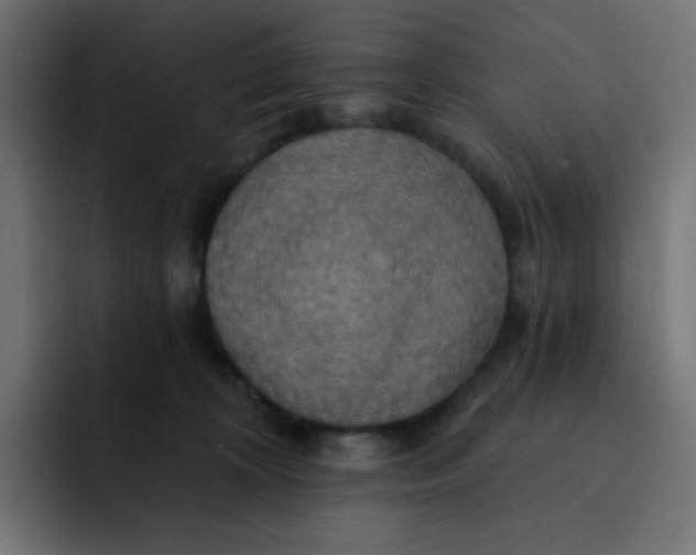 X0000092110324200710031235