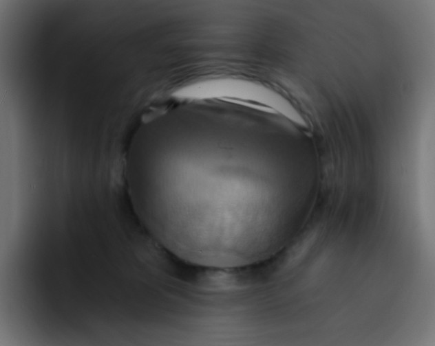 X0000092110325200710031235