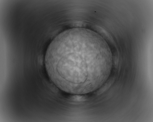 X0000092110326200710031235