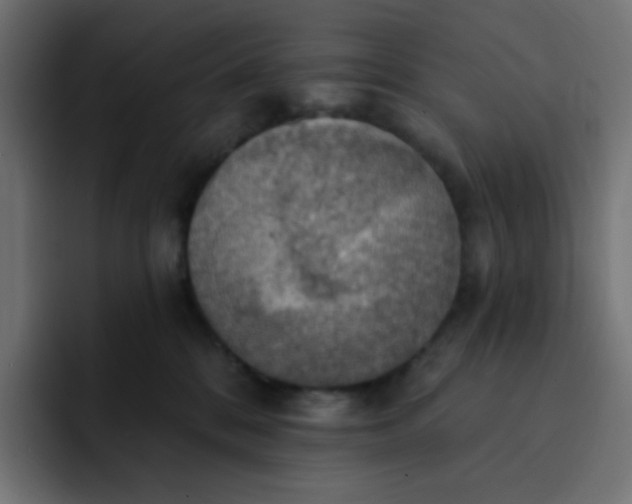 X0000092110328200710031235