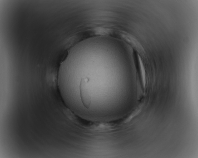 X0000092110329200710031235