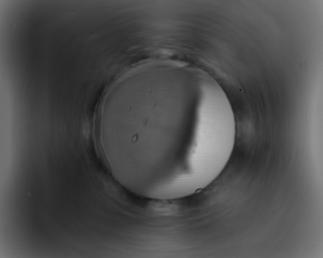 X0000092110331200710031235