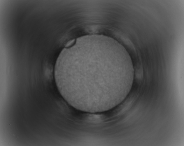 X0000092110332200710031235