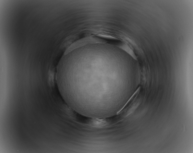 X0000092110333200710031235