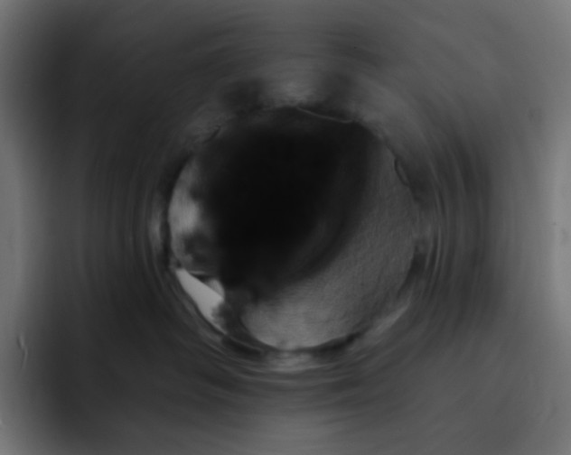 X0000092110334200710031235