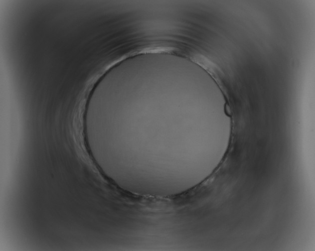 X0000092110337200710031234