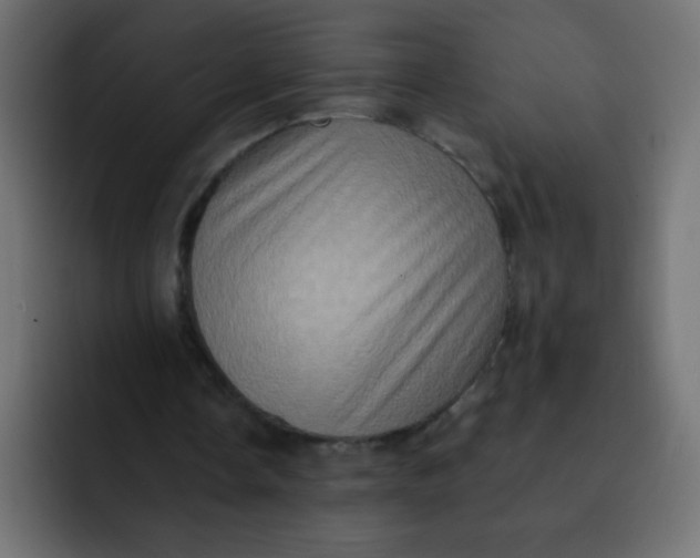 X0000092110338200710031234