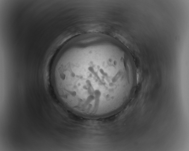 X0000092110339200710031234