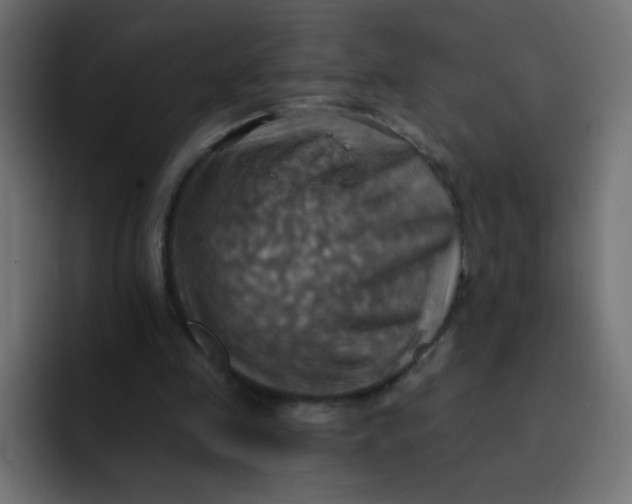 X0000092110341200710031234