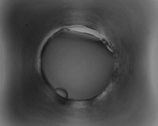 X0000092110342200710031234