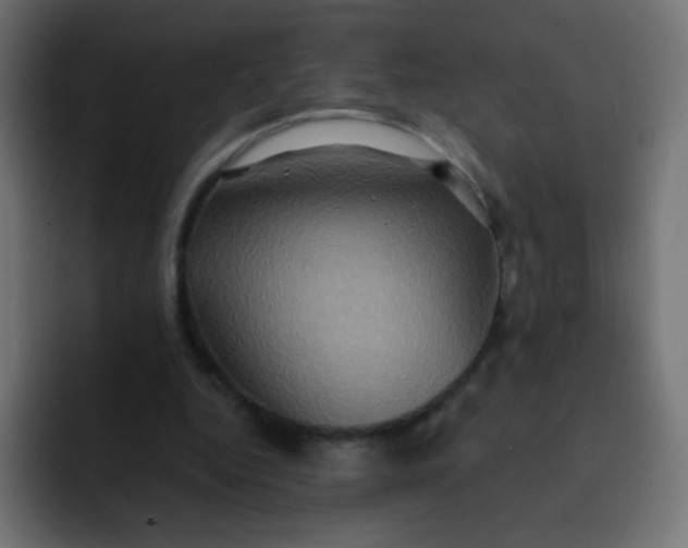 X0000092110344200710031234