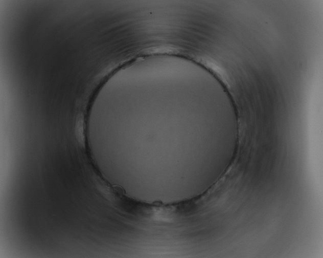 X0000092110345200710031234