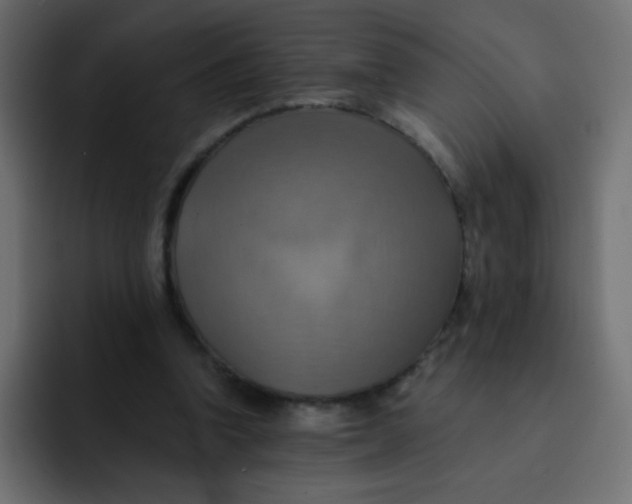 X0000092110346200710031234