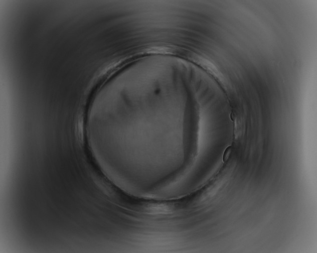 X0000092110349200710031234