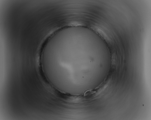 X0000092110351200710031234