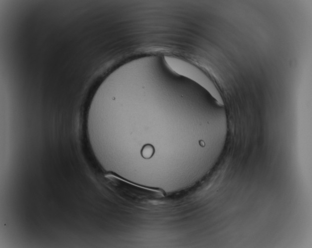 X0000092110352200710031235