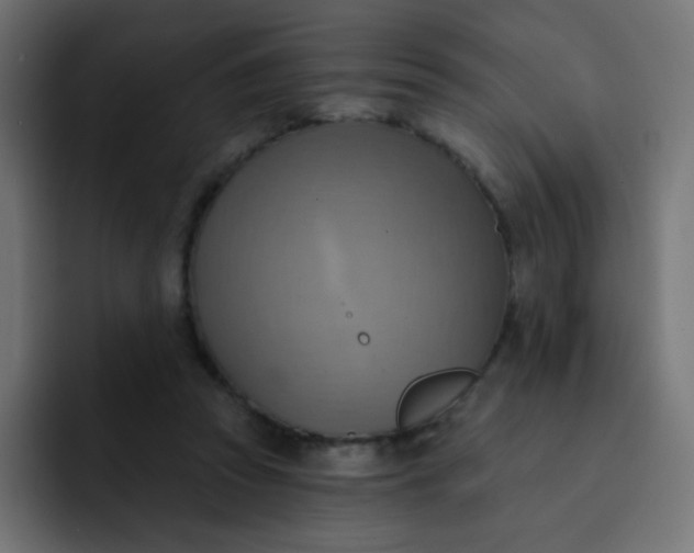 X0000092110353200710031235