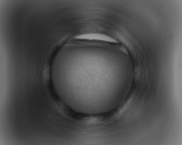 X0000092110356200710031235