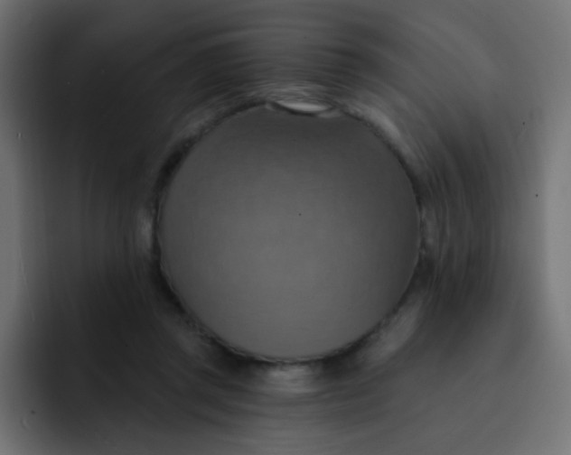 X0000092110357200710031235