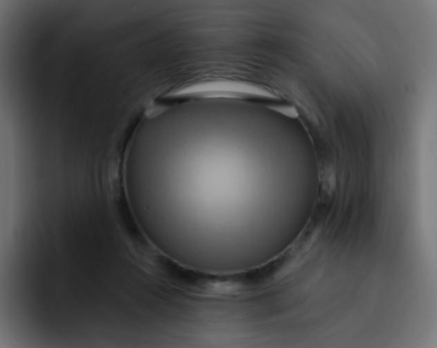 X0000092110360200710031235