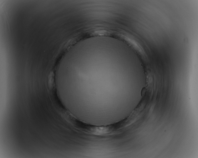 X0000092110361200710031235