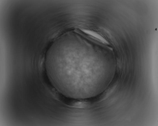 X0000092110364200710031235