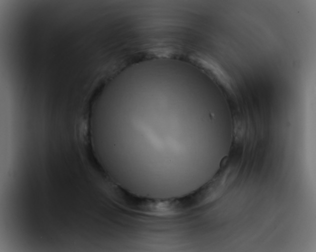 X0000092110365200710031235