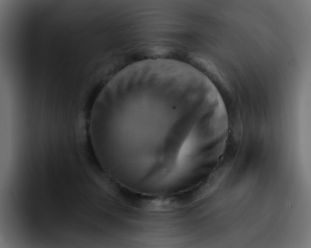 X0000092110366200710031235