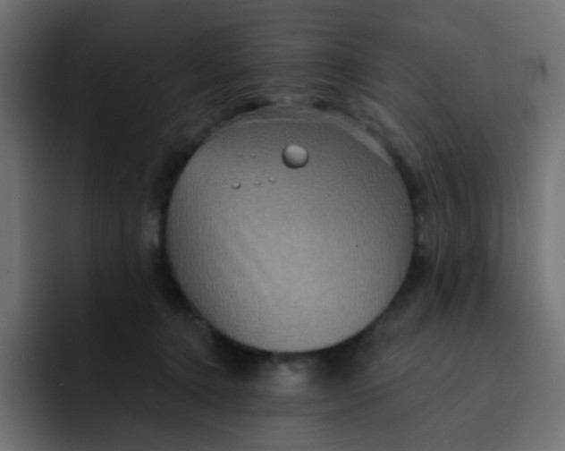 X0000092110368200710031235