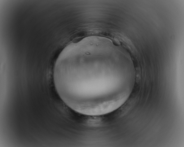 X0000092110369200710031235