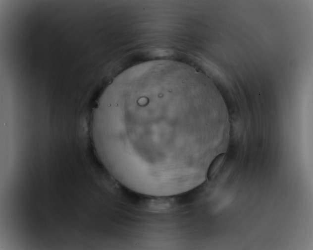 X0000092110373200710031235