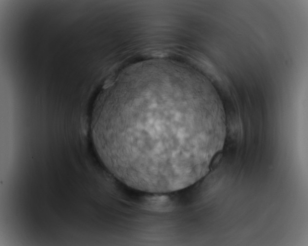 X0000092110374200710031235