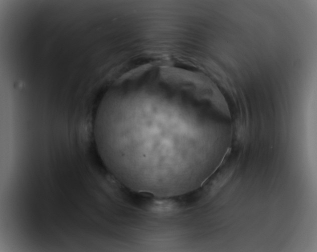 X0000092110376200710031235