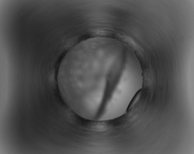 X0000092110377200710031235