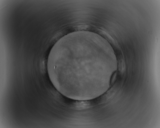 X0000092110378200710031235