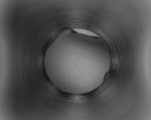 X0000092110379200710031235