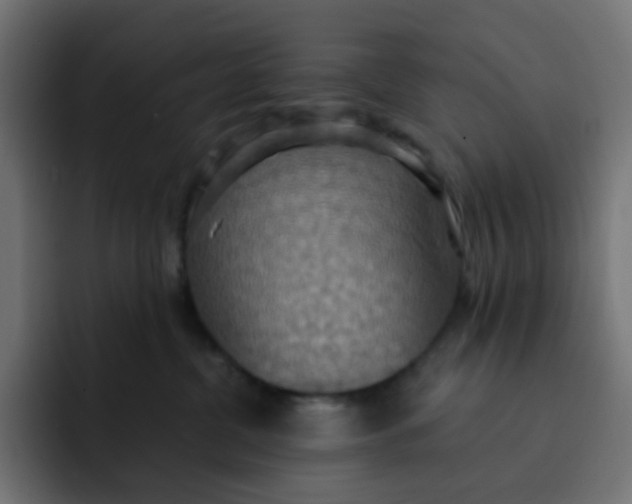 X0000092110380200710031235