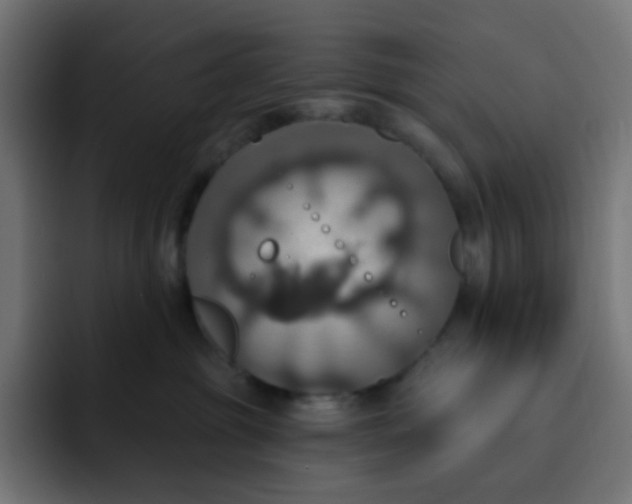 X0000092110381200710031235