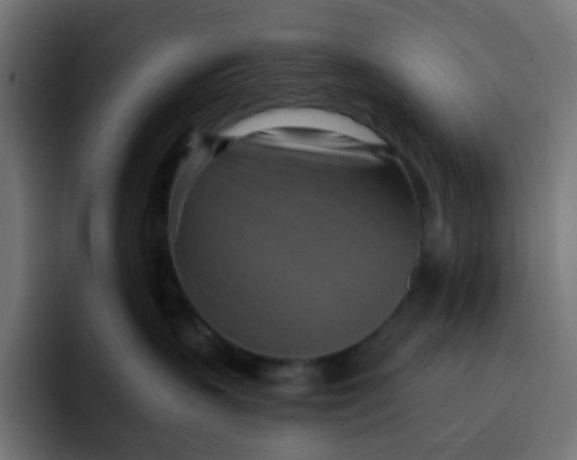 X0000092110383200710031235